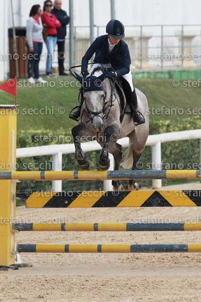 FAVALLI_INDORA_GIO CAV 2011_SS3_8406.jpg